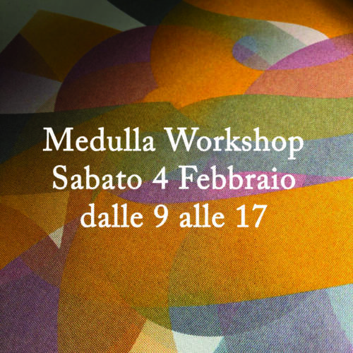 Medulla Workshop